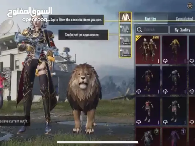 Pubg Accounts and Characters for Sale in Hurghada