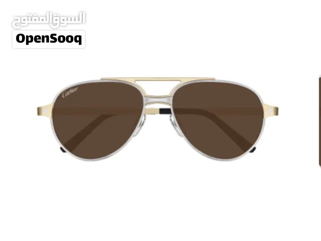 Cartier Santos Sunglasses