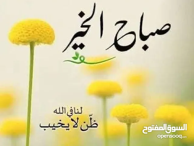 خمس نعاج نخب هجمات سن 650