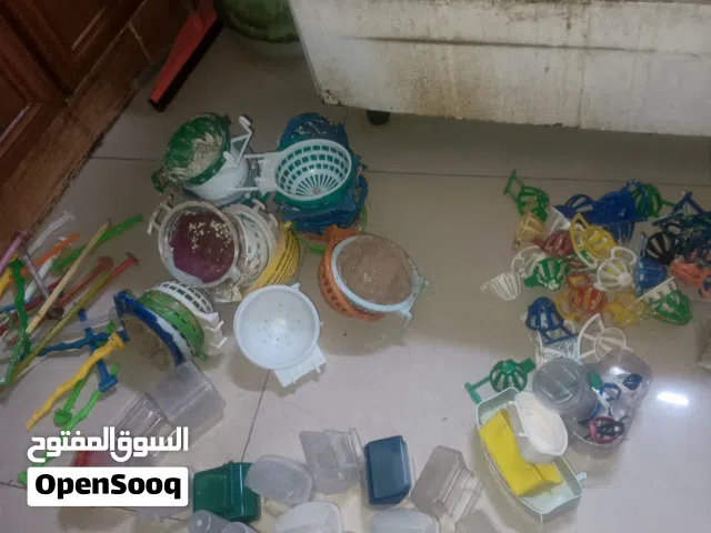 اغراض عصافير مشارب معالف عيدان