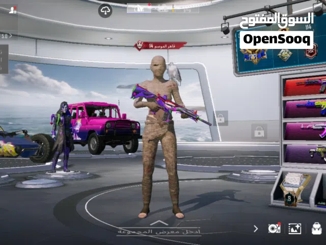 Pubg Accounts and Characters for Sale in Najaf