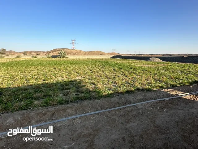 Farm Land for Sale in Al Dakhiliya Izki
