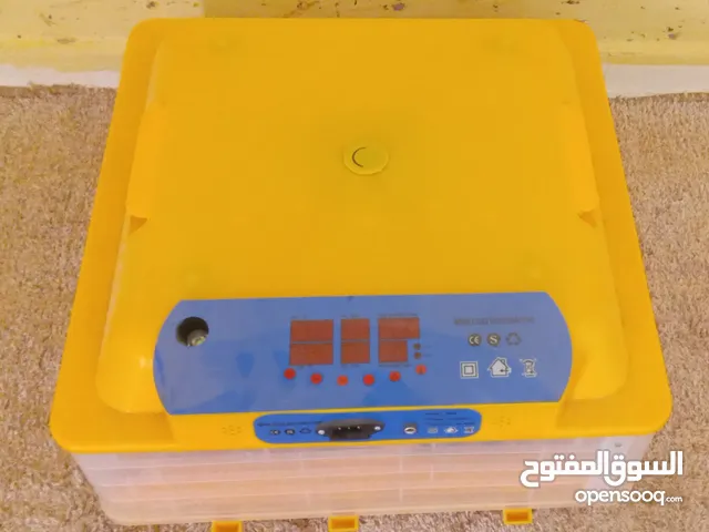 حضانة جميع أنواع طيور للبيع