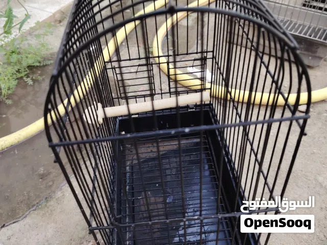 اقفاص كناري بطوله