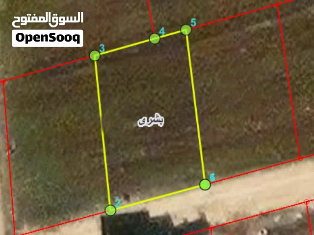 ارض 507م بشرى قوشان مستقل حوض الشراري محاطة بالفلل قرب خط بشرى الرئيسي
