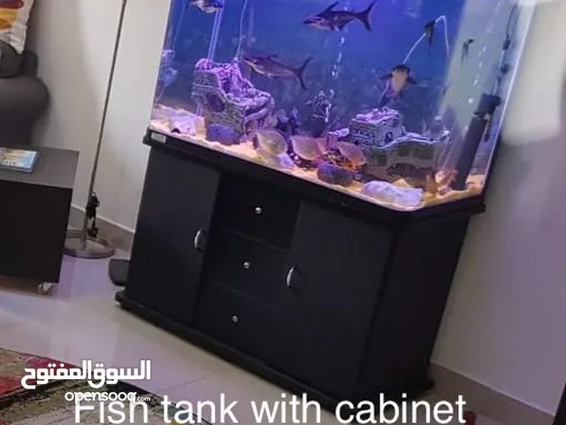 Fish Tank with Cabinet + Oxygen + Generator + Filter + Decoration Items