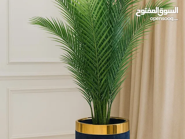 نباتات وسنادين منزلية جديد