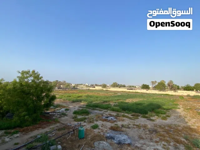 Farm Land for Rent in Al Batinah Barka