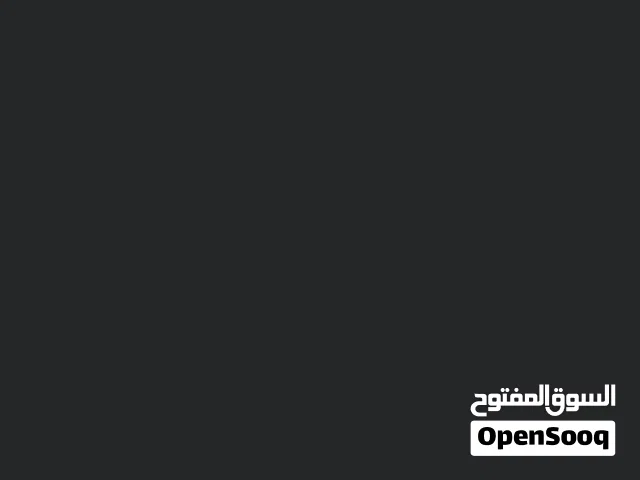 متوفر 2 بركديلو البينو عين حمرا وانثى زرقه بصحه جيده وحجم ونضافه ىبي يبارك