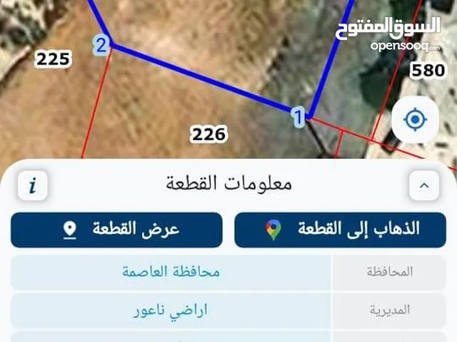 Residential Land for Sale in Amman Naour