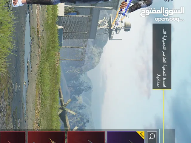 Pubg Accounts and Characters for Sale in Amman