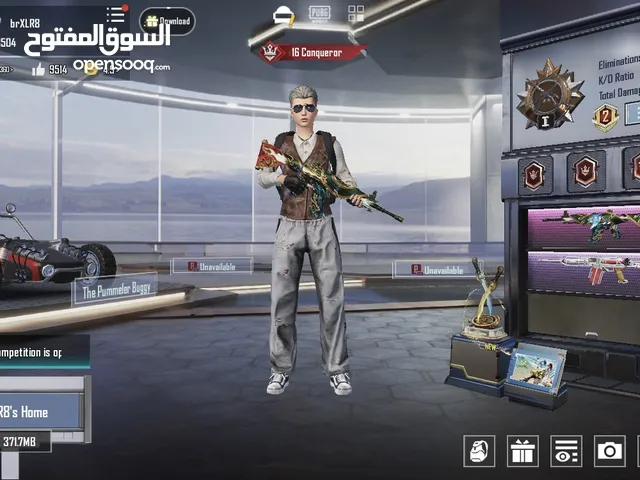 RARE PUBG MOBILE ACCOUNT IN CHEAP PRICE