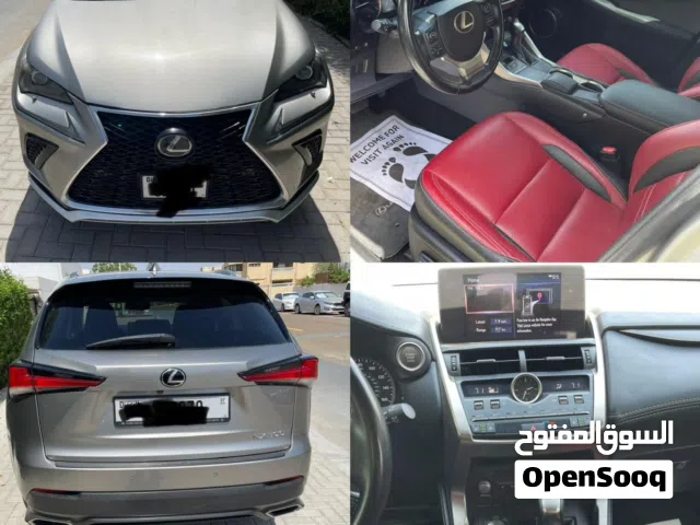 2018 Lexus NX NX 300