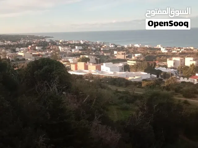 ارض فلاحية للبيع برفراف "بين عين مستير و صونين"