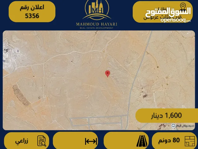 رقم الإعلان: (5356 ) قطعة أرض زراعية للبيع في الظليل – قرب مثلث عرنوس