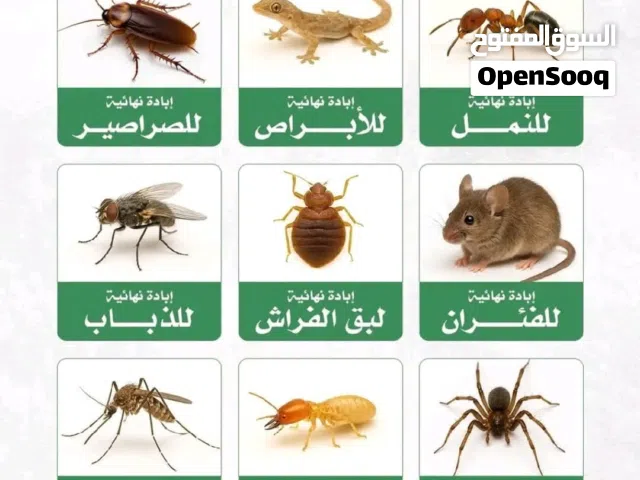 شركة المدخر لخدمات التنظيف ومكافحة الحشرات