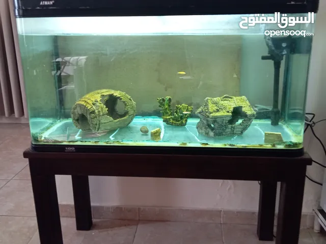 Miscellaneous for sale in Jeddah