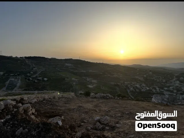 Farm Land for Sale in Zarqa Al-Kamsha