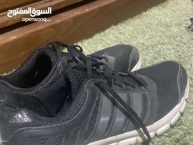 43 Sport Shoes in Amman