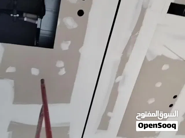 gypsum decorations and painting professional work