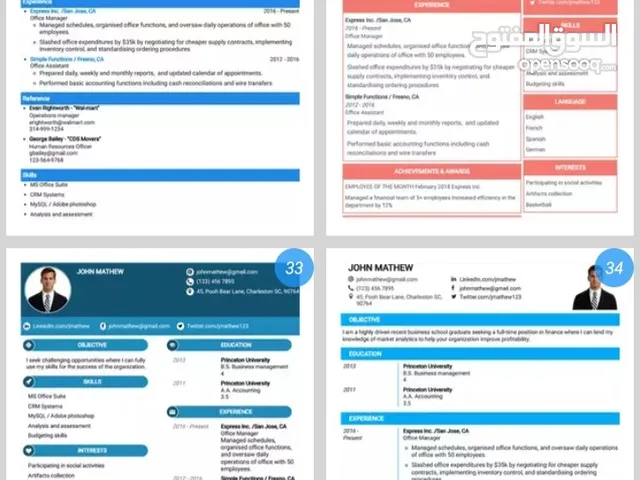 كتابة و تصميم السيرة الذاتيةcv احترفي و ممتاز cv ATS