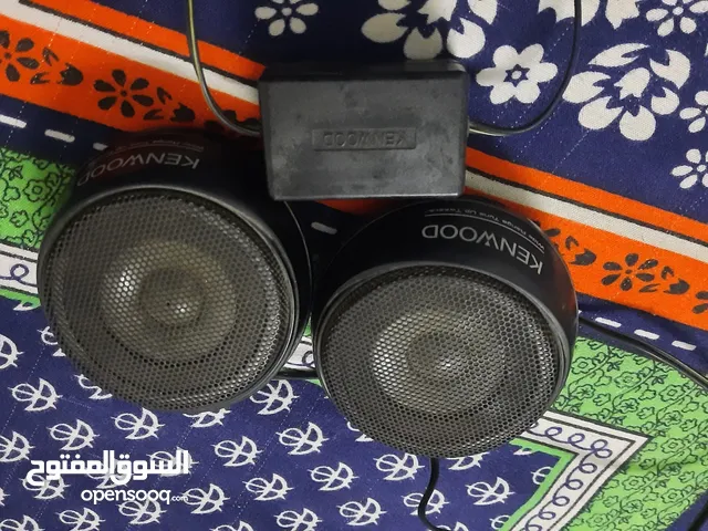 kanwood speaker
