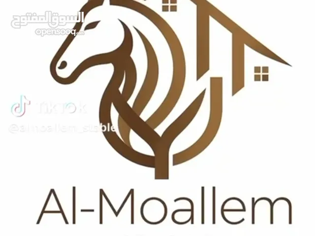 Rent rooms horses