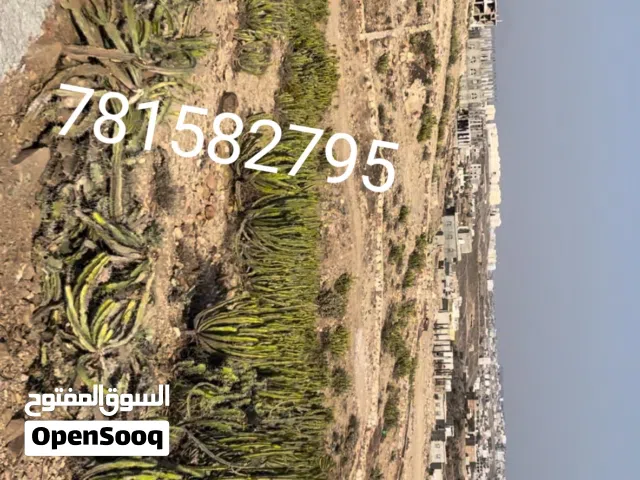 Residential Land for Sale in Taiz Al-Ta'iziyah Directorate