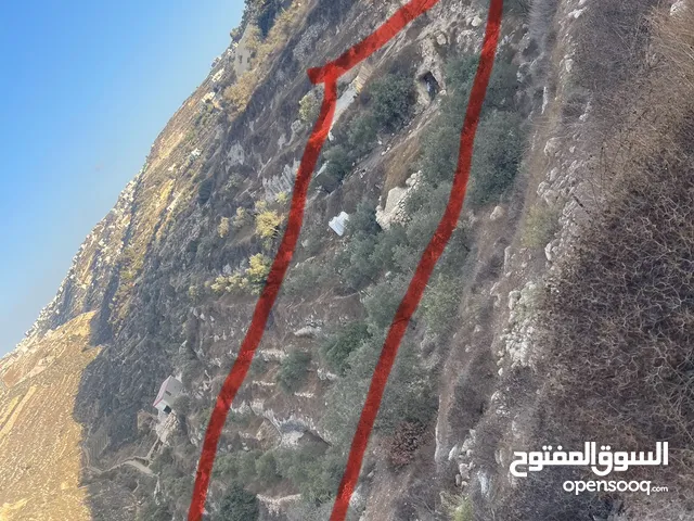 Mixed Use Land for Sale in Hebron Dura