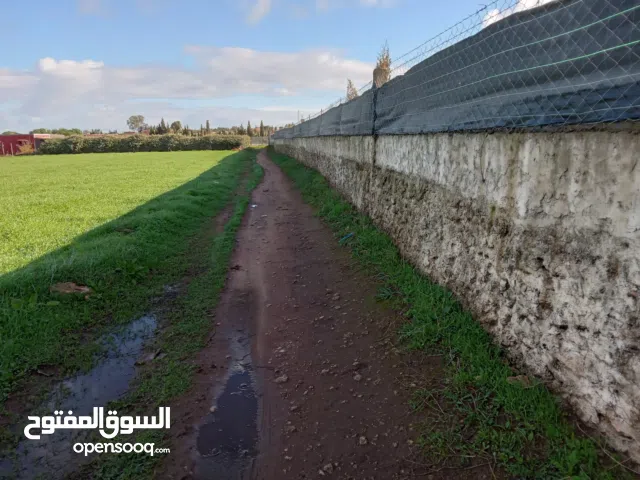 Mixed Use Land for Sale in El Jadida Other