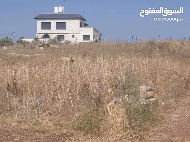 Mixed Use Land for Sale in Jenin Al-Nasra St.