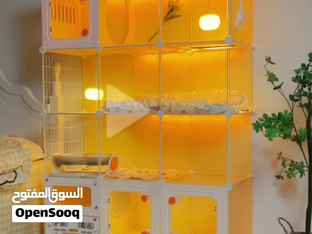 قطة نثيه شرط الصحه والنضافه كتاب تلقيح وكل أغراضها موجوده قيم واخذ عنواني بصره طويسه