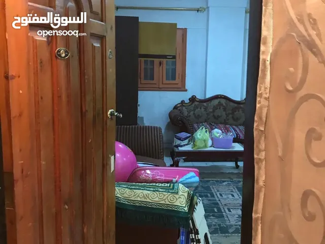 100m2 2 Bedrooms Apartments for Rent in Alexandria Nakheel