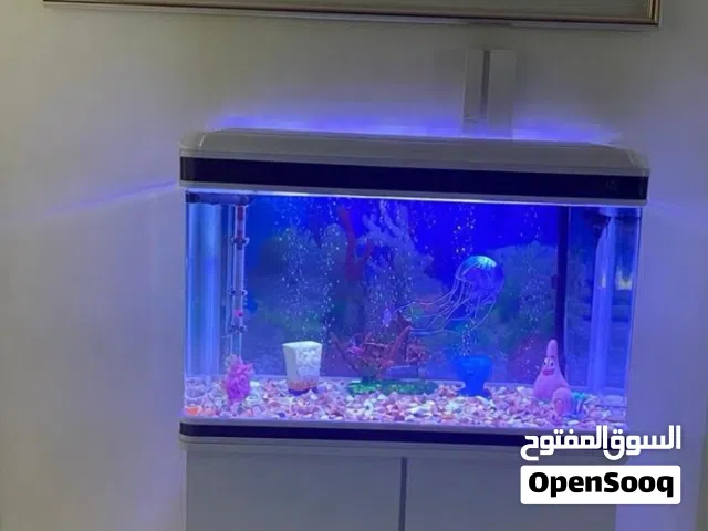 Aquarium with full accessories