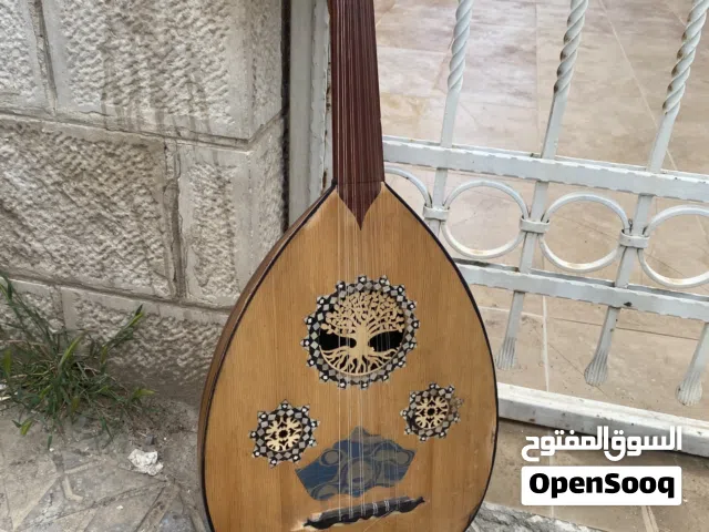 عود مصري  للتعليم