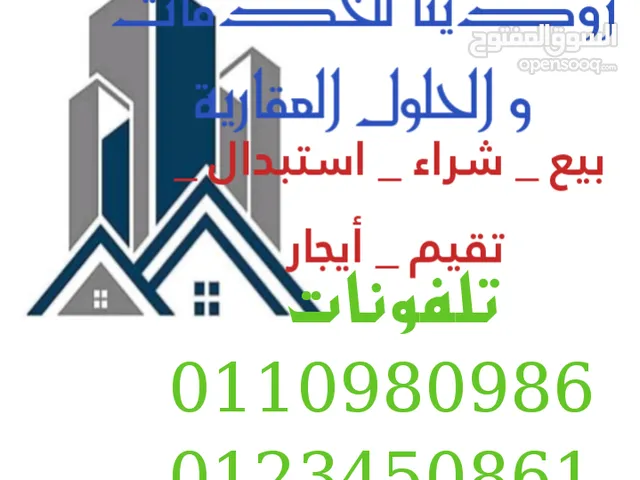 رودينا للحلول العقارية والخدمات