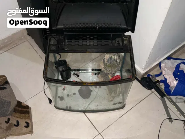 حوض سمك شغال مع جميع الاغراض