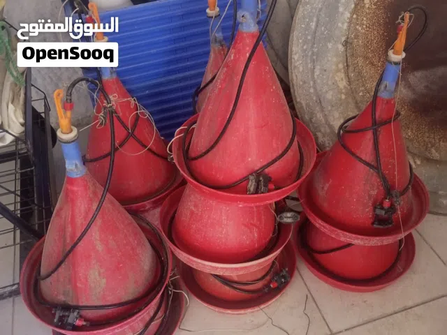 دفايات ومشارب توماتيك دواجن