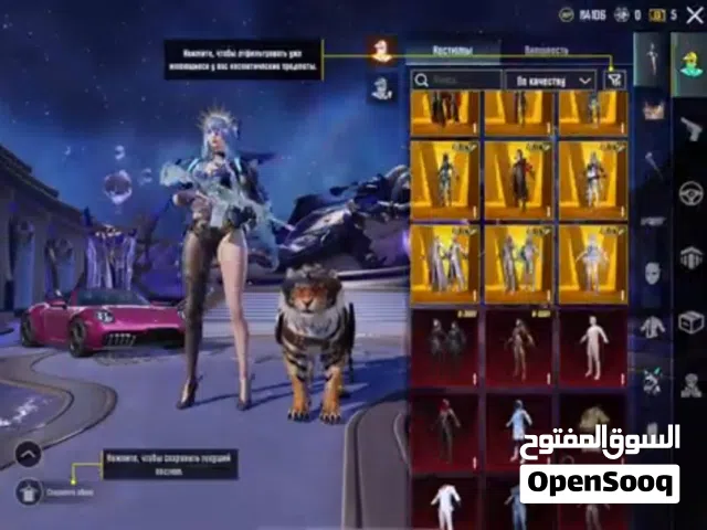 PUBG Mobile Account for Sale - High Value Inventory