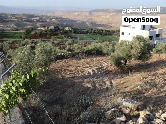 ارض لبيع سعر مغري  جلعد ع راس جبل مطله