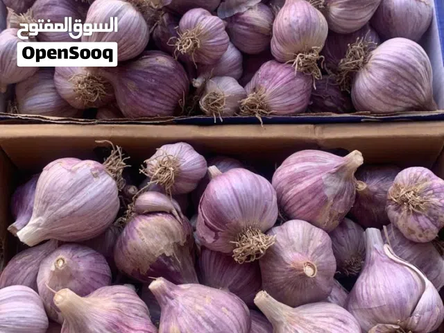 ثوم محلي حجم متوسط و كبير