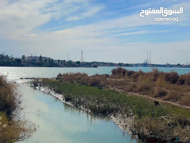 دونم للبيع ملك صرف زراعي يتحول بالاسم شط العرب الفيحاء نزلت نهر ابو الزوري