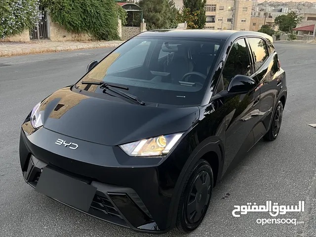 Byd Seagull
