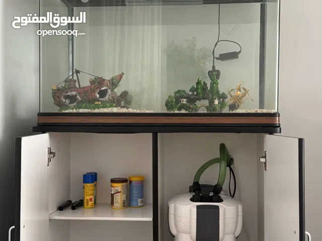 حوض أسماك و ملحقاته