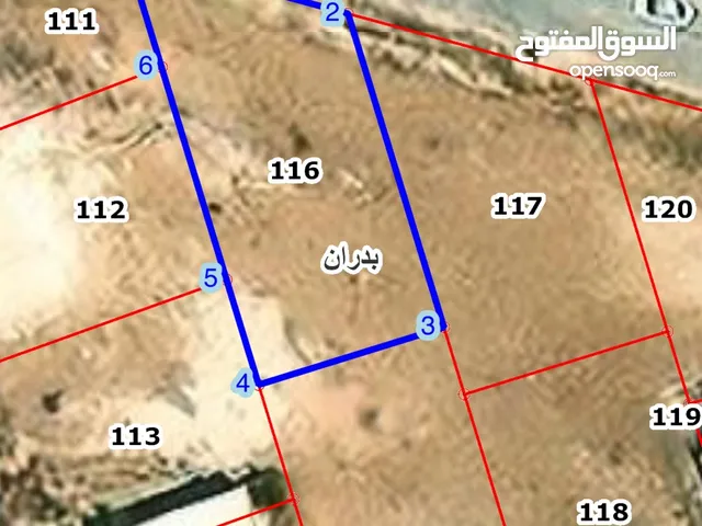 Residential Land for Sale in Amman Shafa Badran