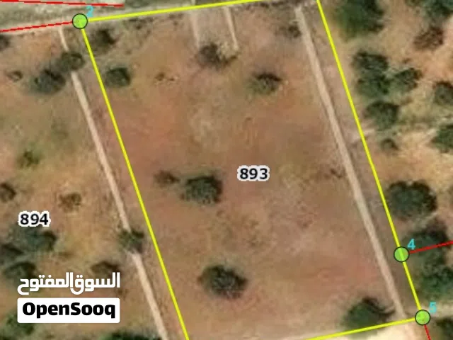 Residential Land for Sale in Amman Badr Jdedeh