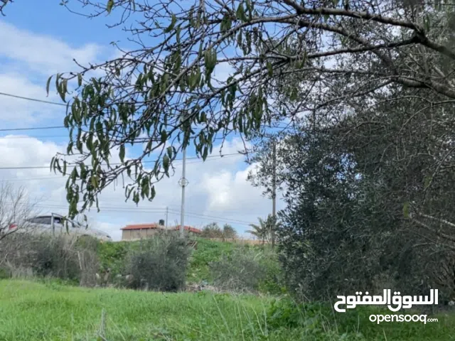 Commercial Land for Sale in Jenin AlJabriaat