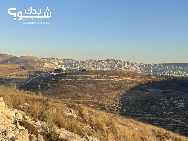ارض للبيع طريق عصيرة اجنيسنيا