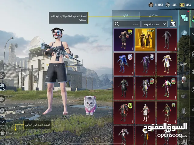 Pubg Accounts and Characters for Sale in Northern Governorate