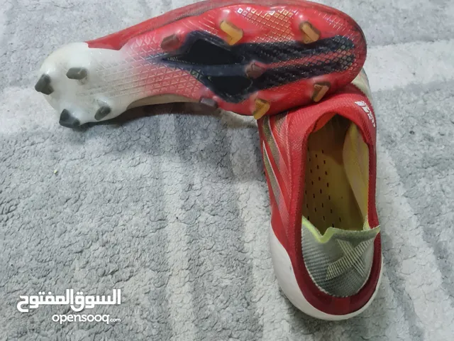 47 Sport Shoes in Northern Governorate